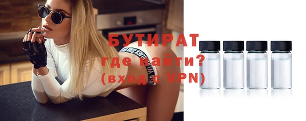 индика Арсеньев