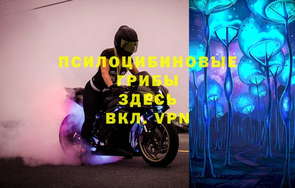 круглые Абаза