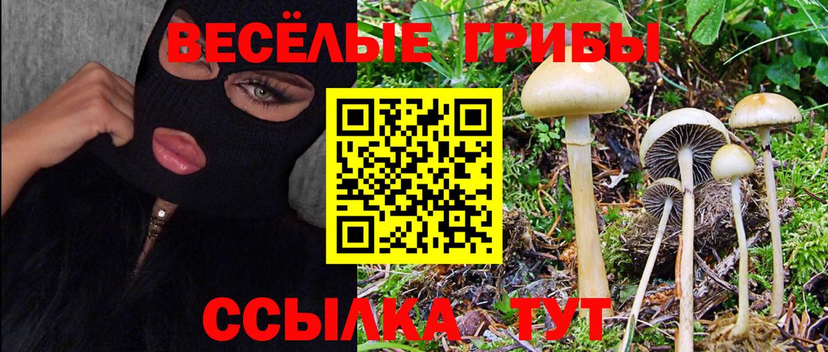 Астрахань  Галлюциногенные грибы Cubensis  Галлюциногенные грибы Psilocybine cubensis  Вход с VPN 