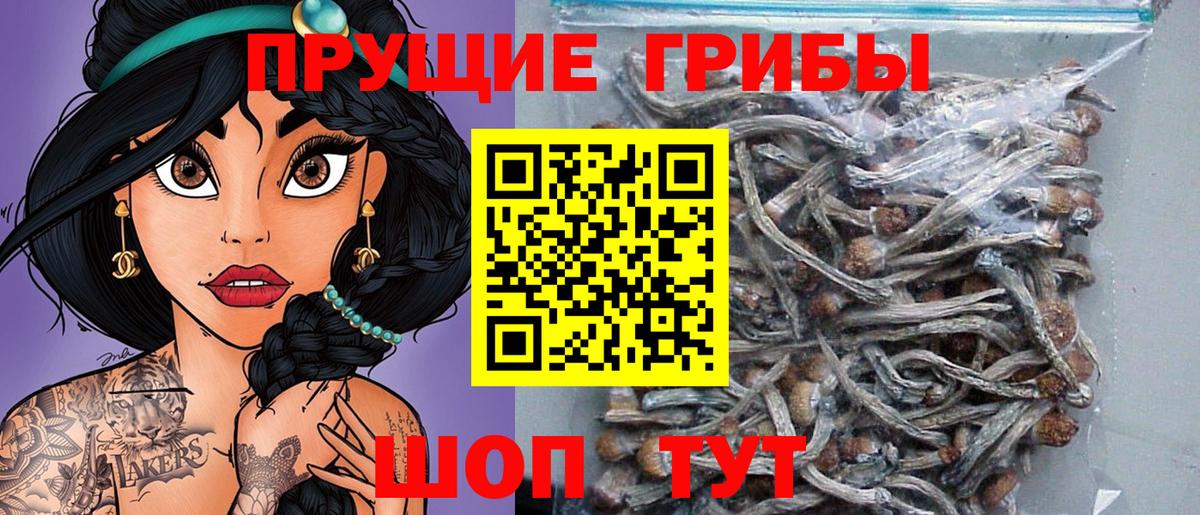 А ПВП СОЛЬ кристаллы  Конопля  Вход с VPN  Меф МЯУ МЯУ кристаллы  ГЕРОИН  Астрахань  Гашиш  ГАШ 